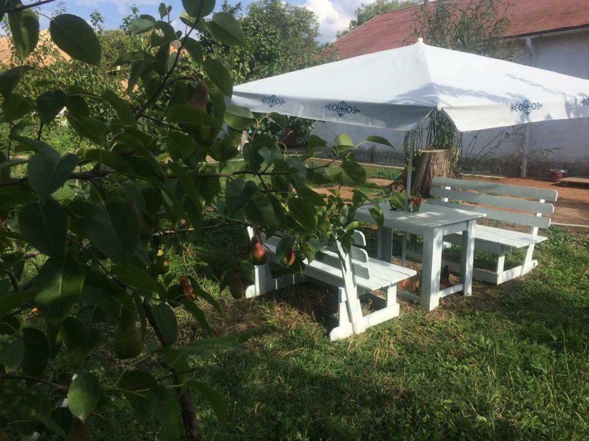 Eco House Summer Garden Kaji-Say 외부 사진